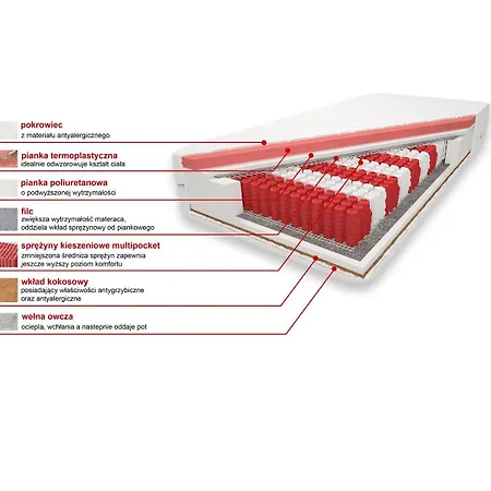 Pijarska 아파트 노비 삭츠